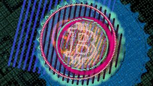 Non-Fungible-Tokens